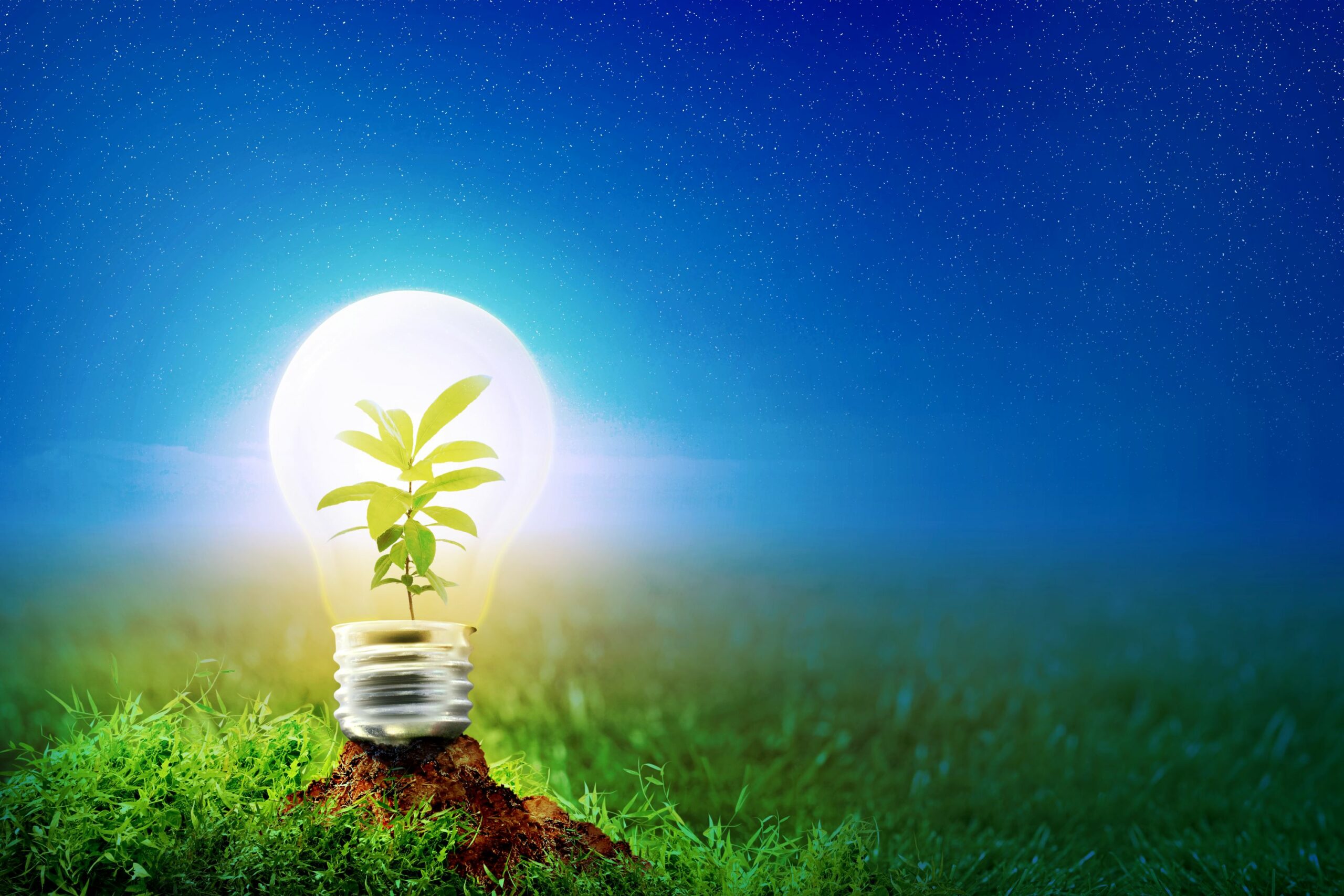 ampoule avec lune plante poussant à l'intérieur