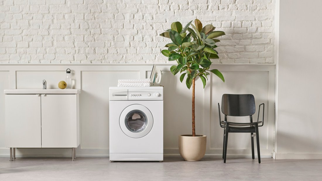 Ein Badezimmer-Möbelstück, eine Waschmaschine und Pflanzen in einem Raum; Illustrationsbild für das Thema Ökodesign